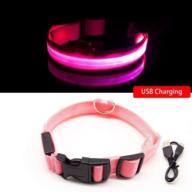 USB Chargeable LED Glowing Dog Collar